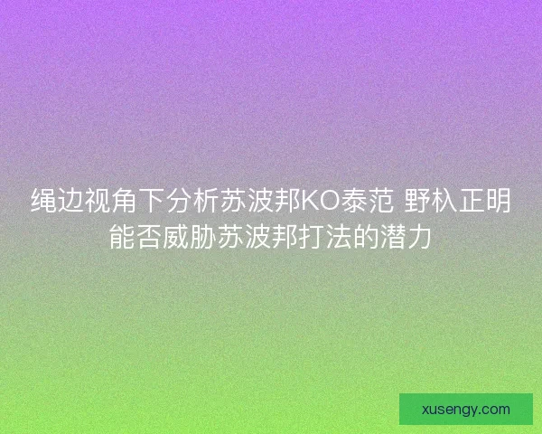 绳边视角下分析苏波邦KO泰范 野杁正明能否威胁苏波邦打法的潜力 绳边视角下分析苏波邦KO泰范 野杁正明能否威胁苏波邦打法的潜力