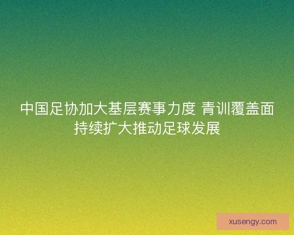 中国足协加大基层赛事力度 青训覆盖面持续扩大推动足球发展